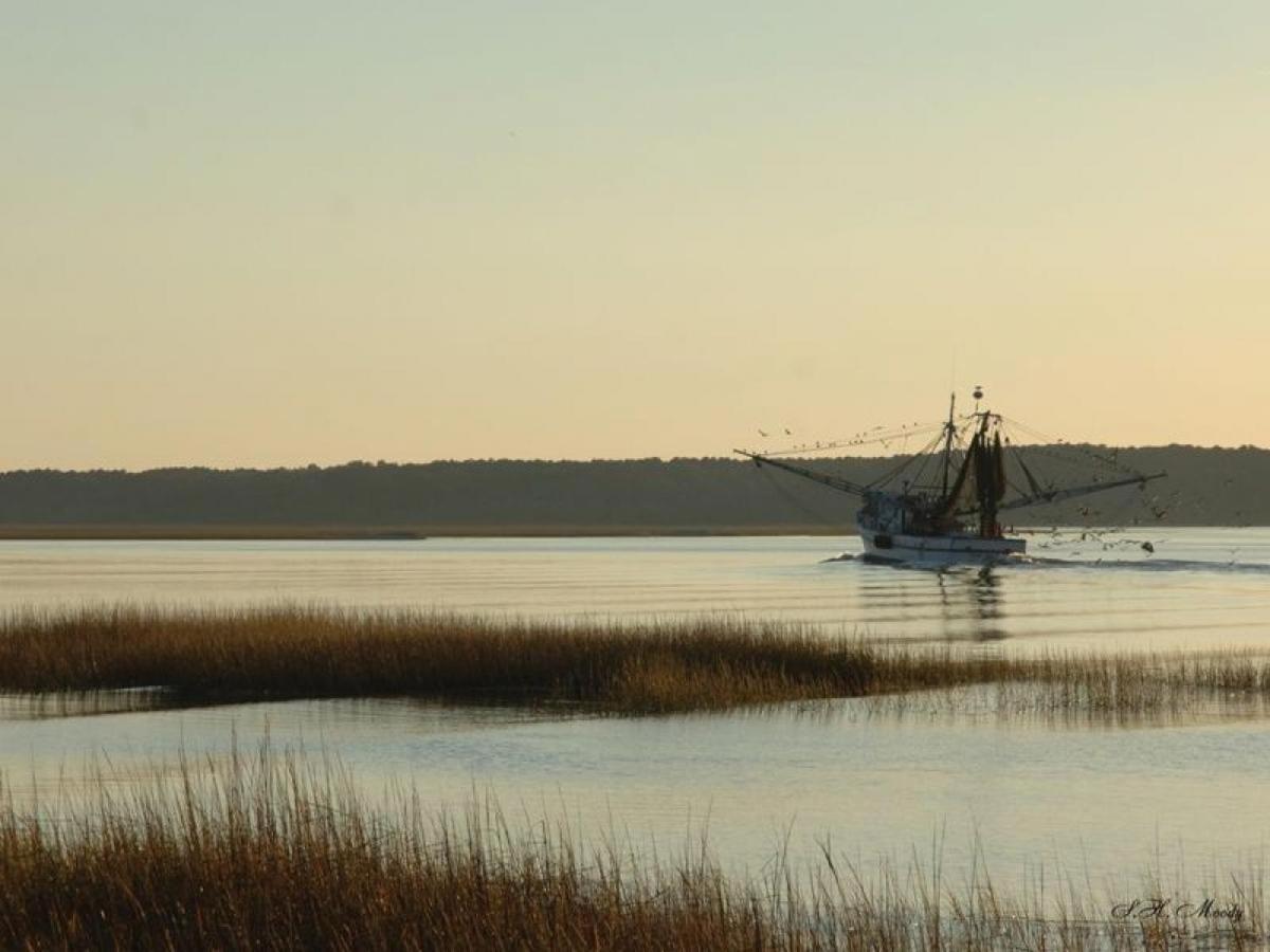 2420 Windsor Ii Holiday home Hilton Head Island