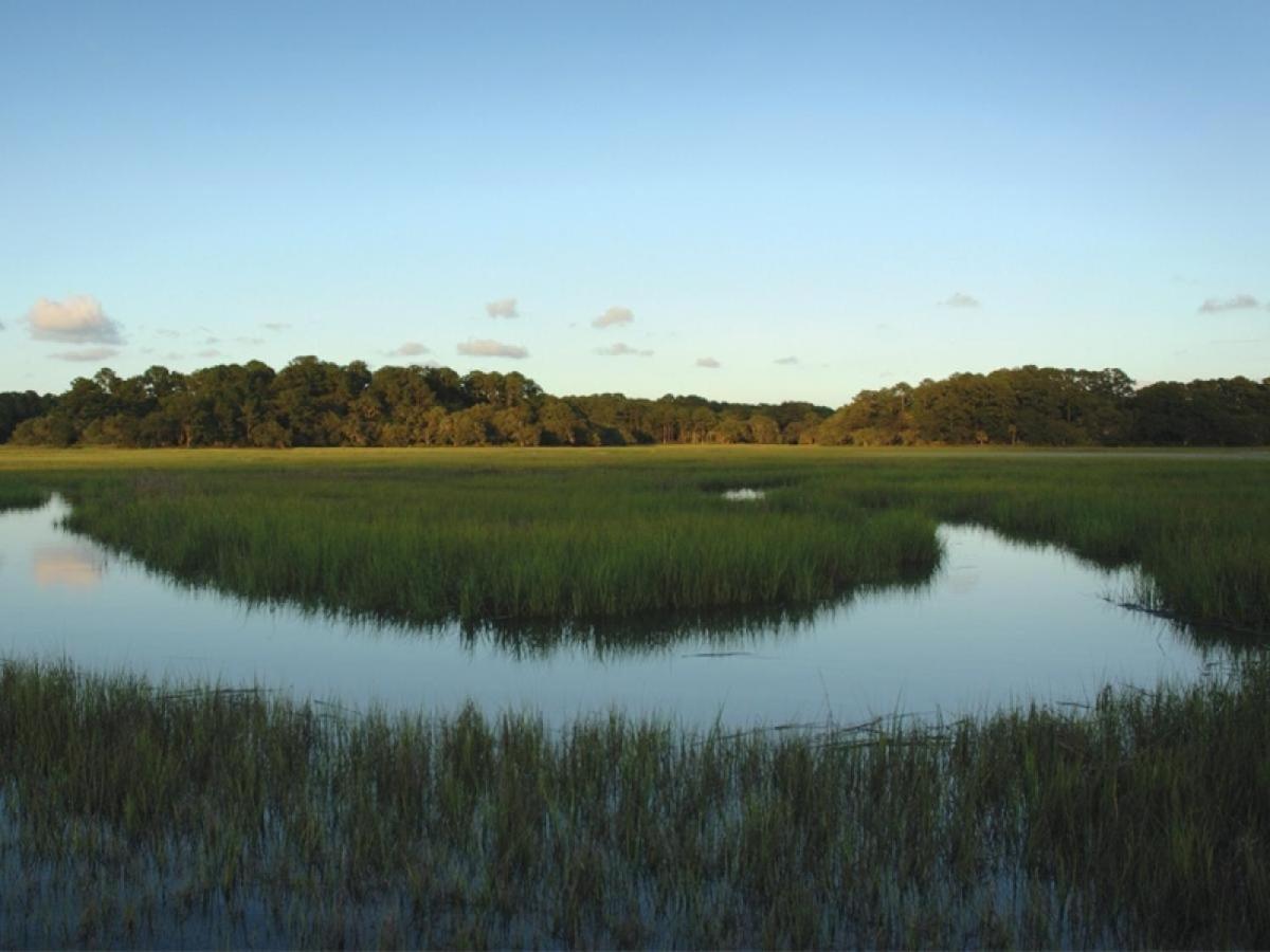 2 Brigantine * Hilton Head Island