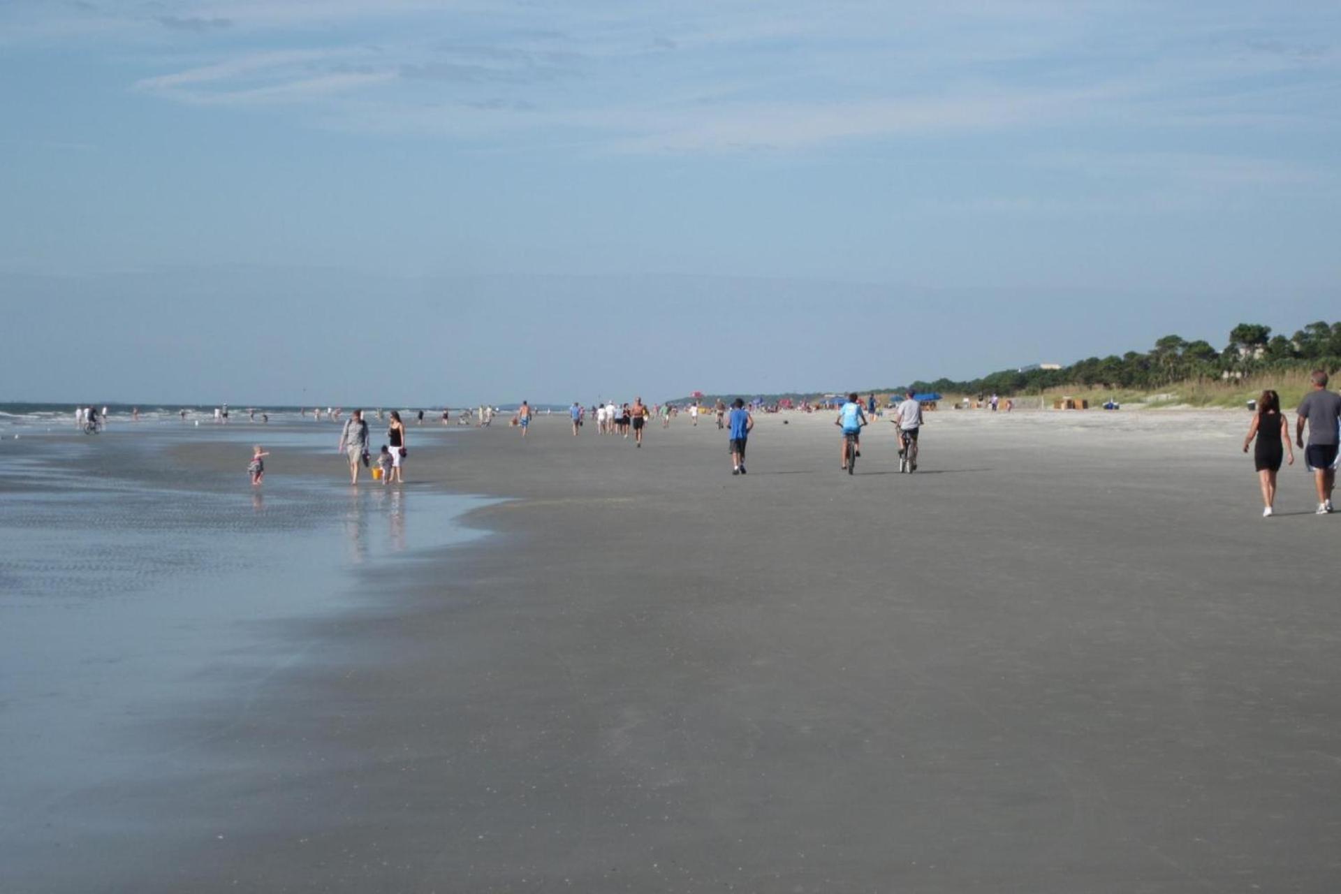 Paradise Palms. Hilton Head Island