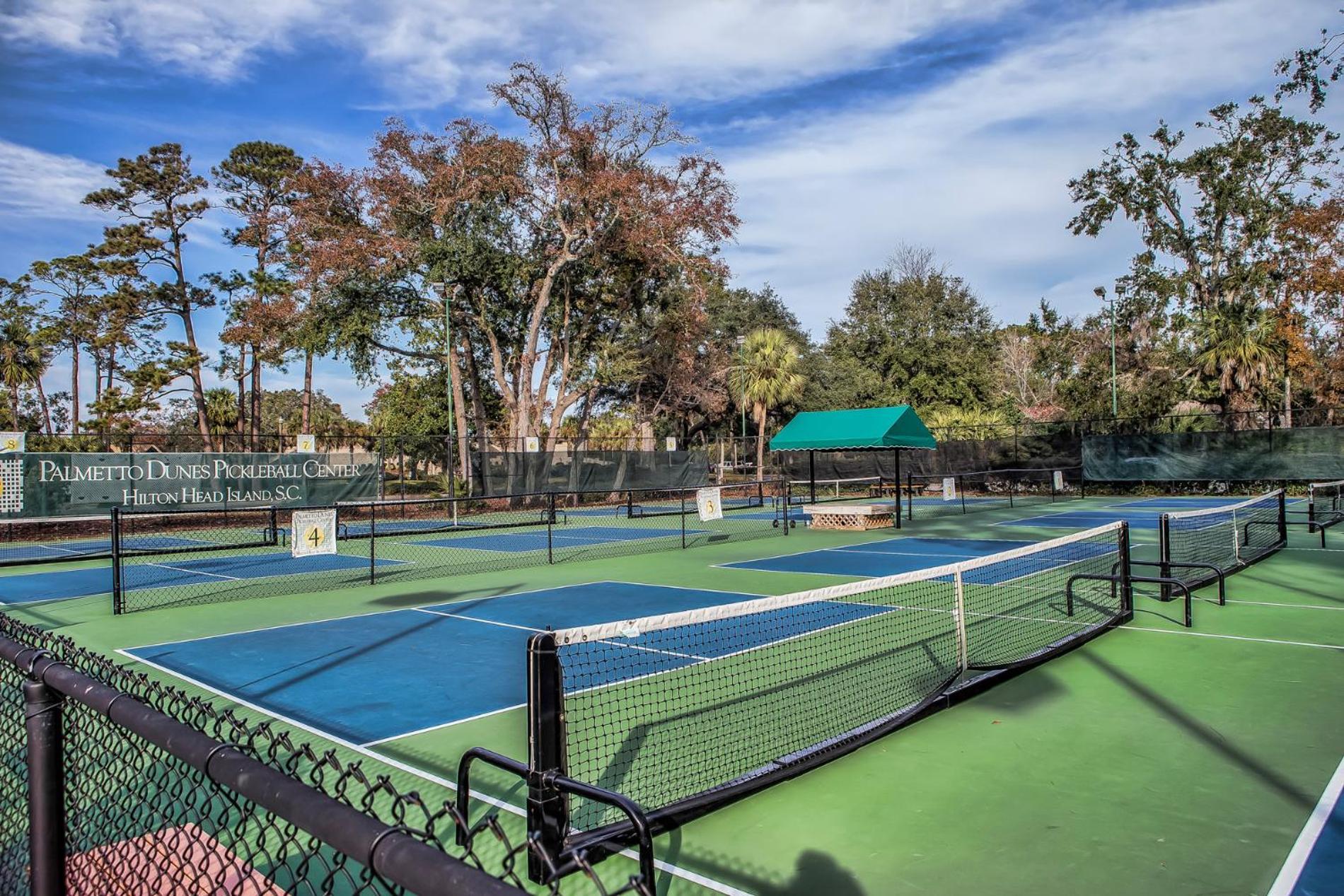 Holiday home Luxe Family Retreat With Lagoon Views, Private Pool, Game Room, Concierge Services Hilton Head Island