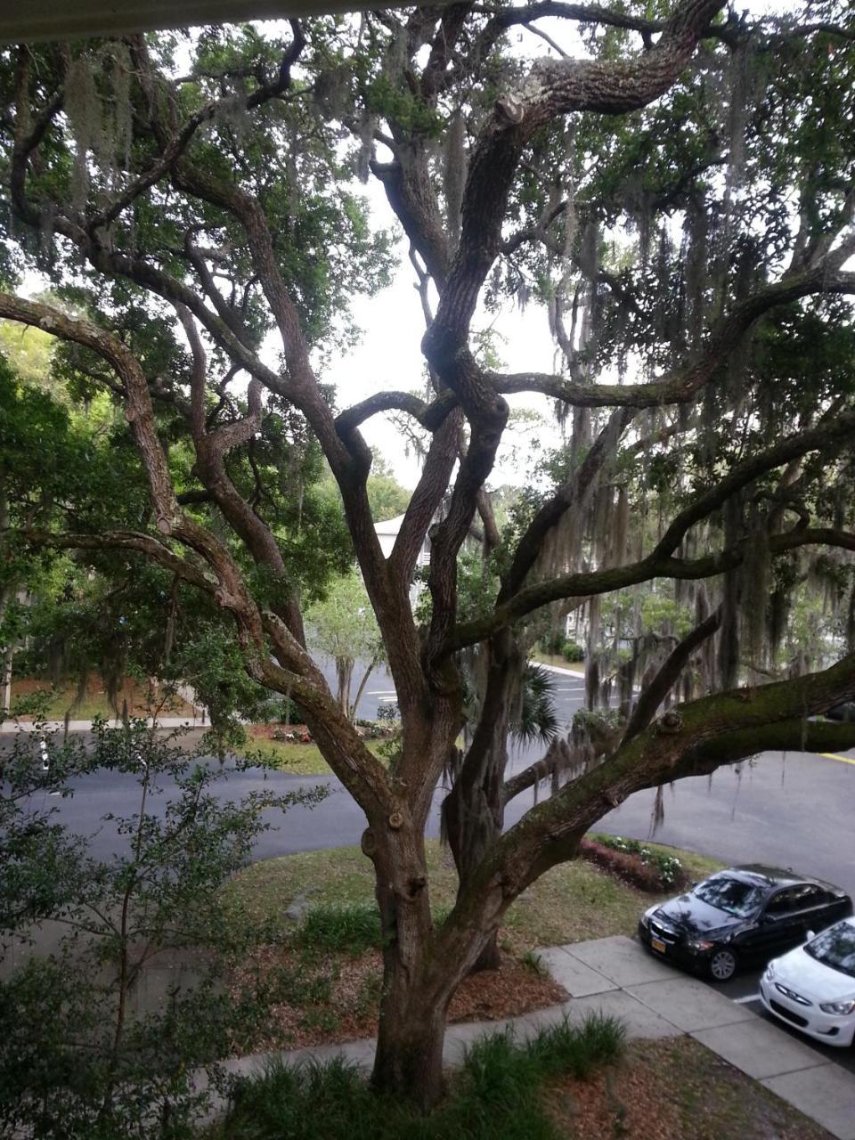 Fiddler's Cove -2 Bedroom Hilton Head Island