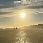 16 Pelican