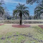 South Live Oak 25