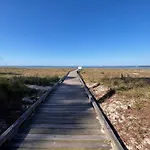 Classic 2Nd Row Beach Home - Pet Friendly - 2 Brown Pelican Rd