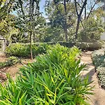 Ocean Walk 106A