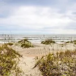 Singleton Beach 11