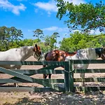 169 North Sea Pines Drive