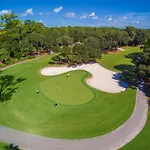 6 Wood Ibis - Host2Coast