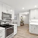 10 Willow Oak