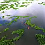 2 Galleon