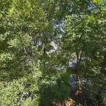 Oceanwood 113