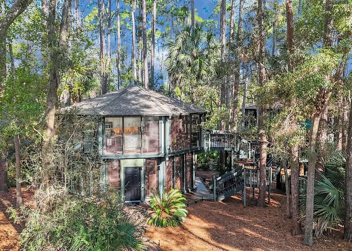 A Magical Treehouse By The Sea!