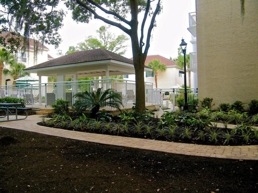 Palmera And Hotel