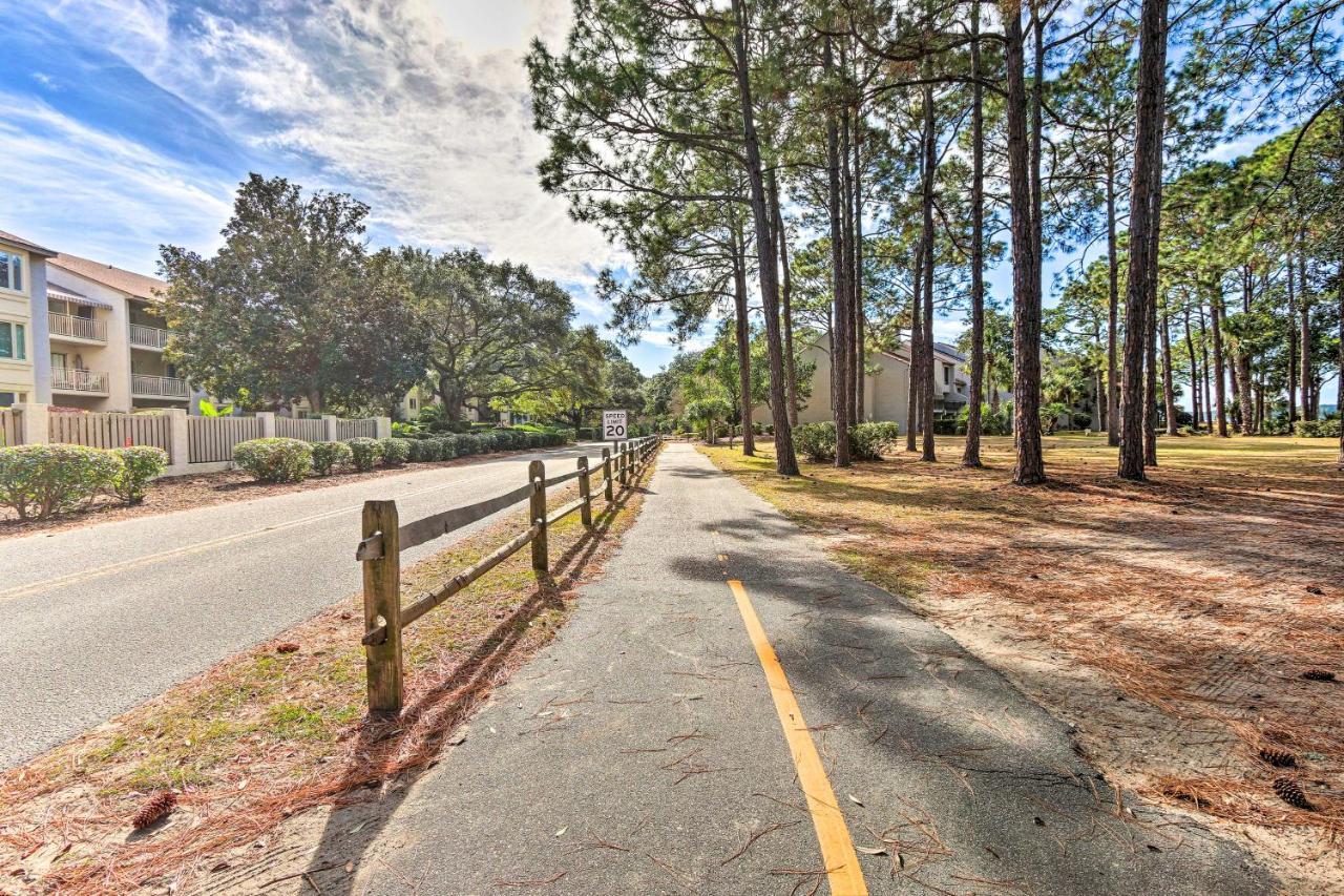 Coastal Sea Pines Escape Walk To Beach! *