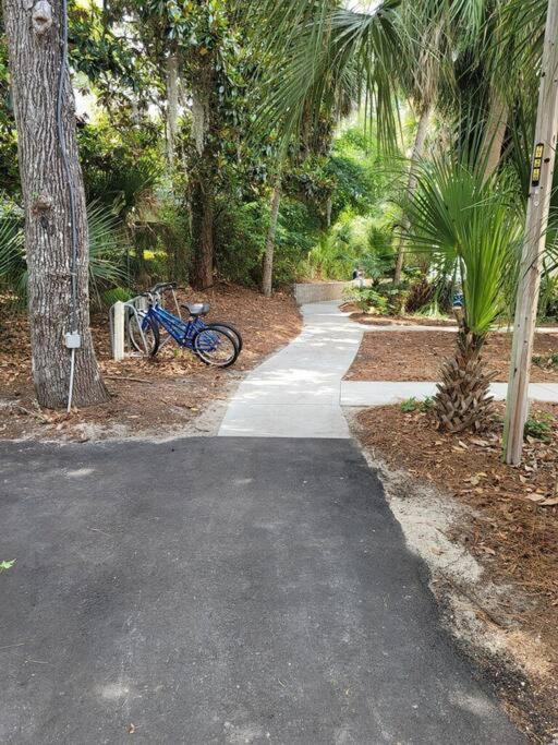 Villa Contemporary Bliss-newly Renovated Cozy Hilton Head Island