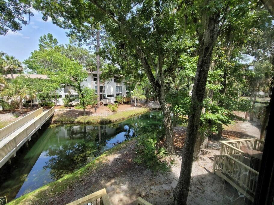 Contemporary Bliss-newly Renovated Cozy