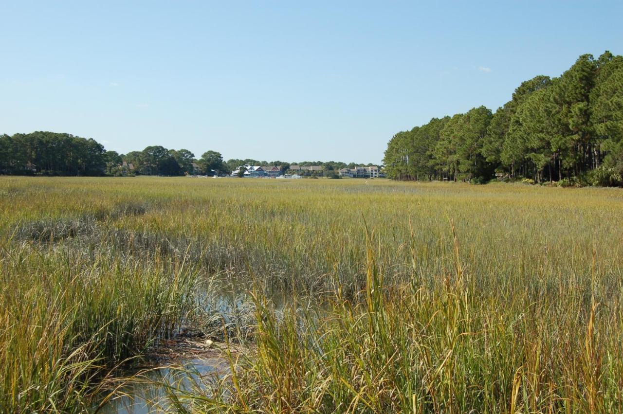 Holiday home 4 Grey Widgeon Hilton Head Island