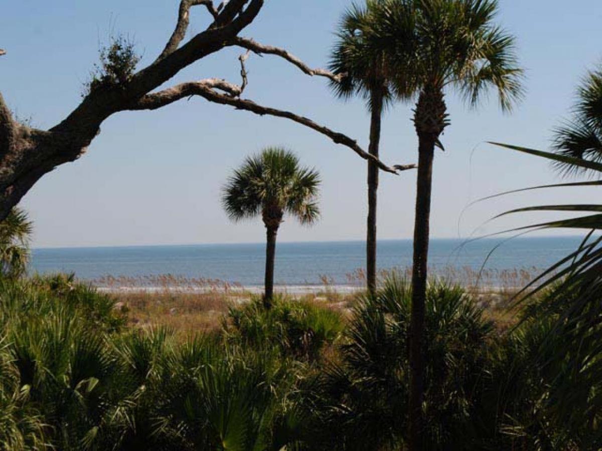 3107 Windsor Court * Hilton Head Island