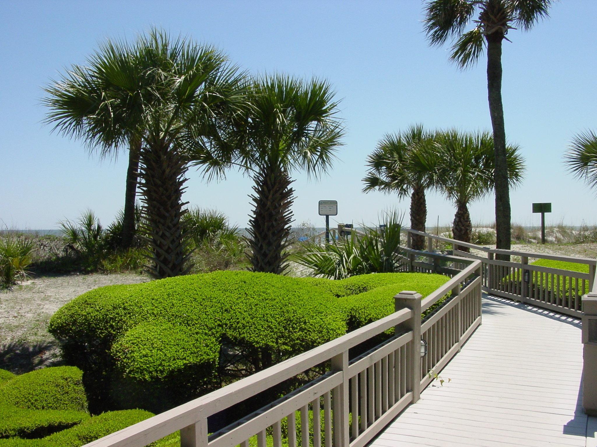 Resort Omni Hilton Head Oceanfront