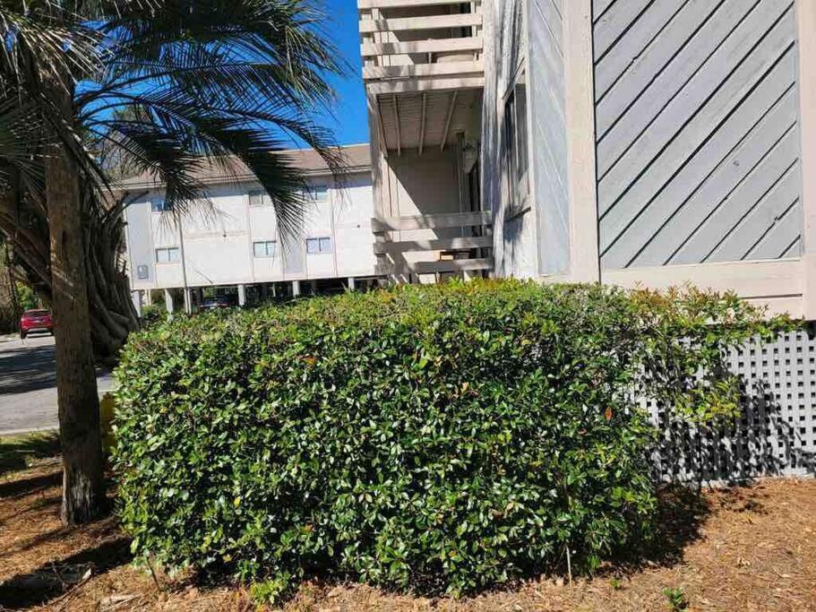 2022 Renovated 2-bdrm Cozy, Lovely W/parking!