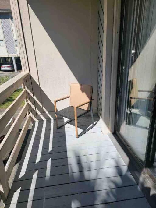 Apartment 2022 Renovated 2-bdrm Cozy, Lovely W/parking! Hilton Head Island