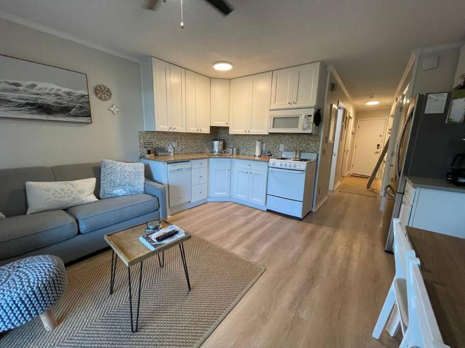 Apartment Just Beachy! Absolute Notch Design, Oceanviews Hilton Head Island