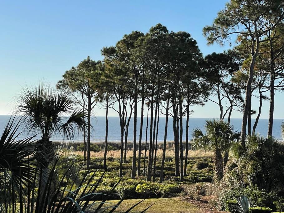 Just Beachy! Absolute Notch Design, Oceanviews Apartment *