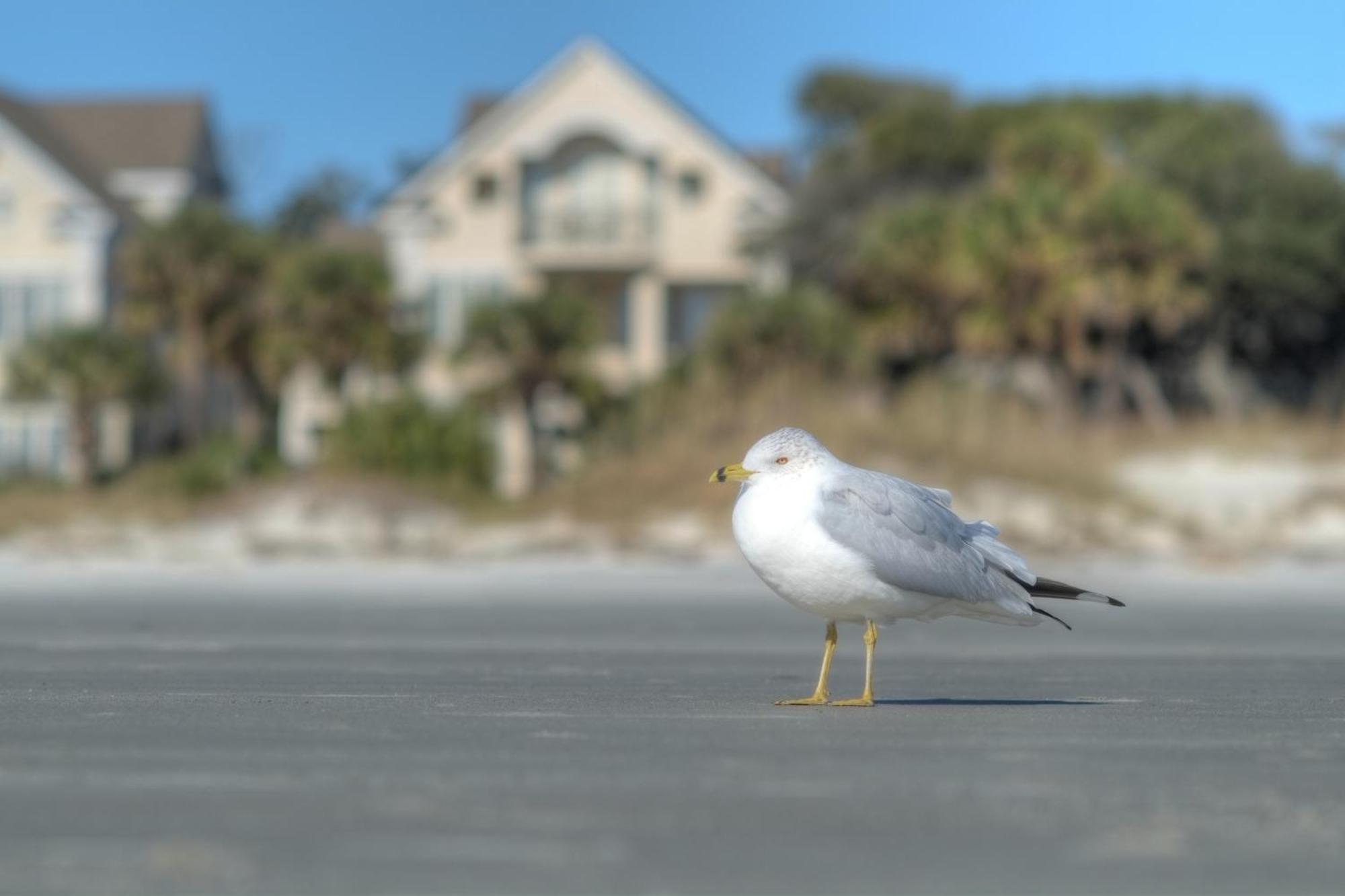 Holiday home Racquet Club Hilton Head Island