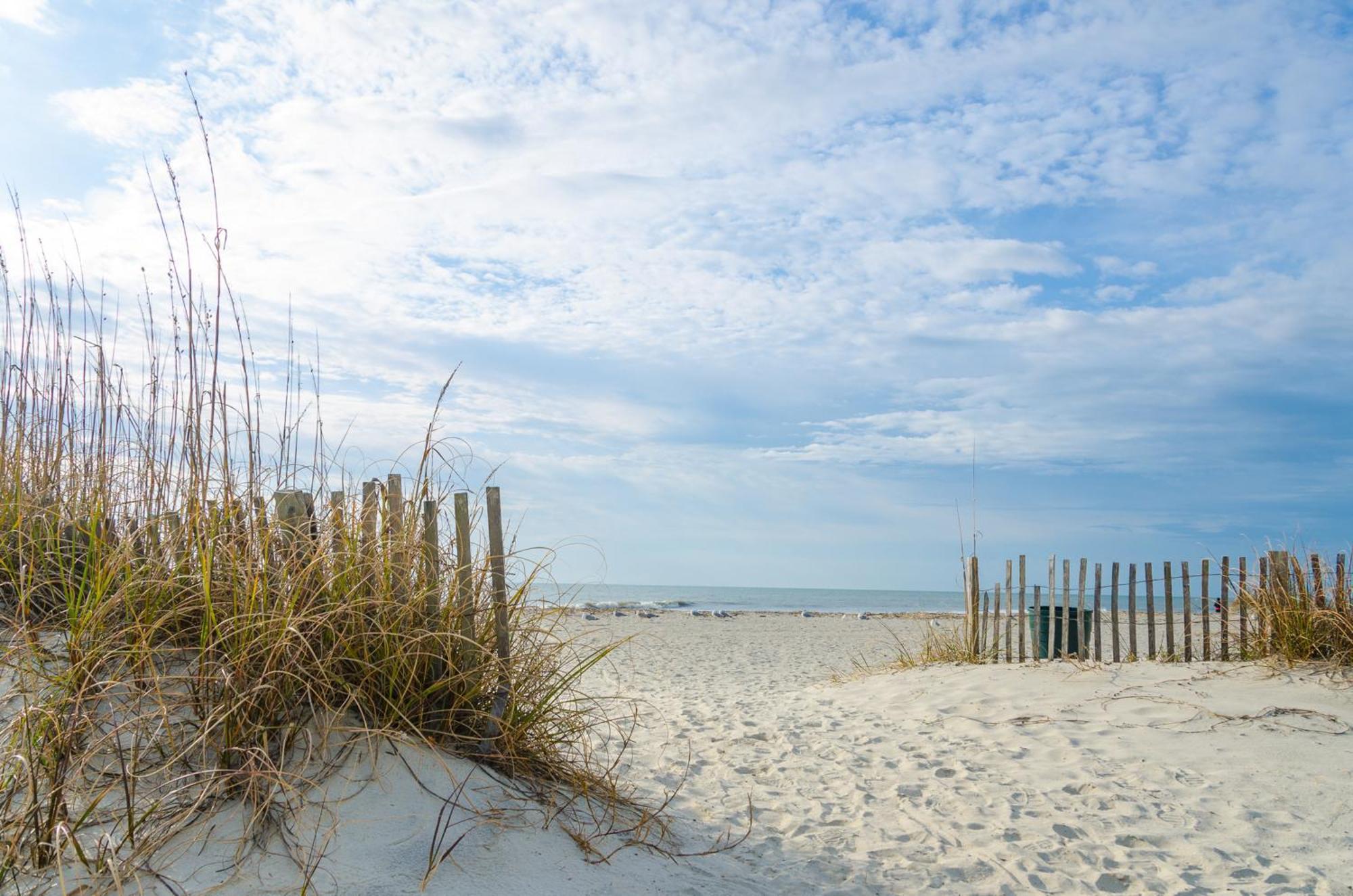 Dunes *