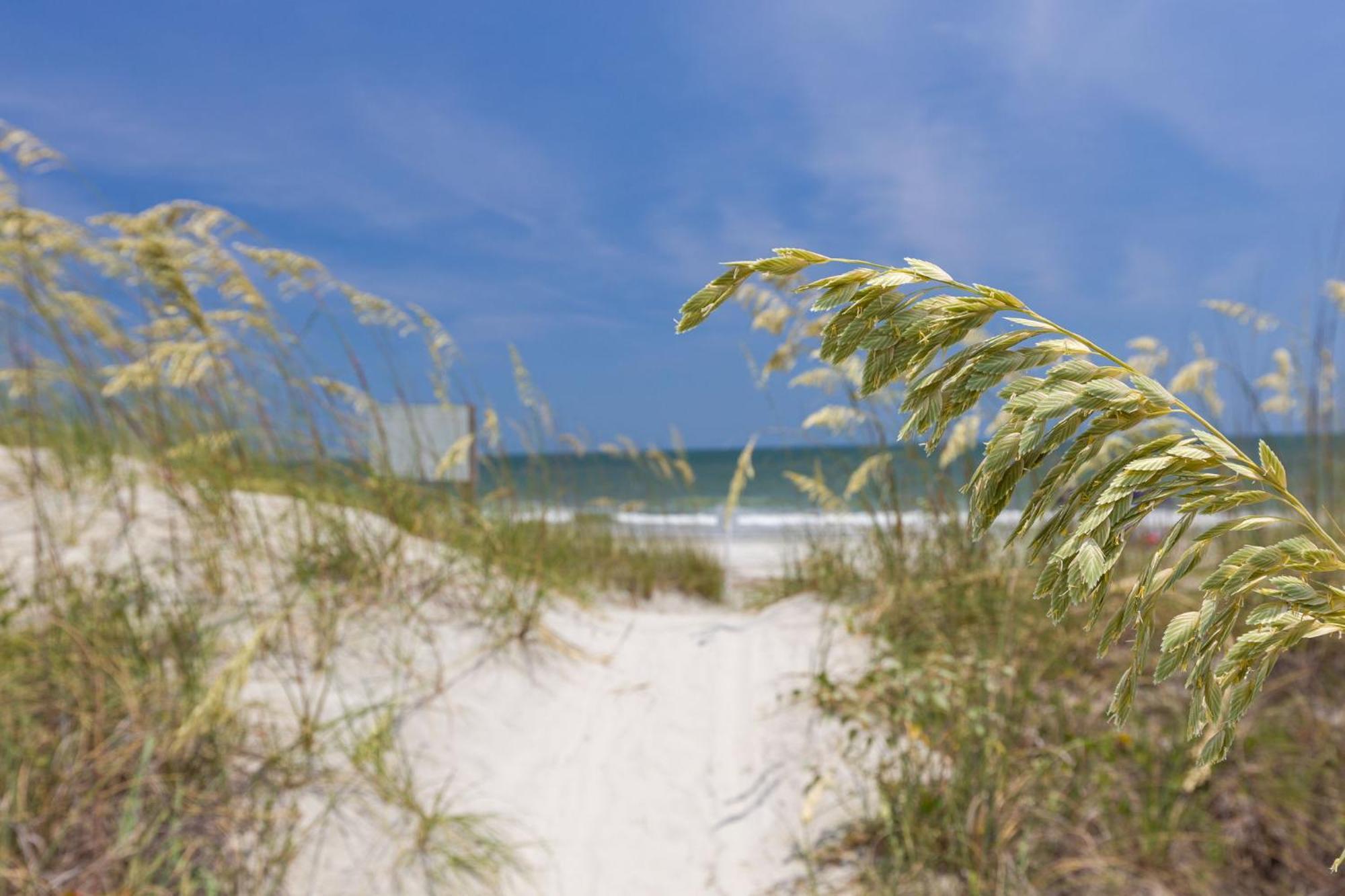 8 Nighthawk - Host2coast Holiday home Hilton Head Island