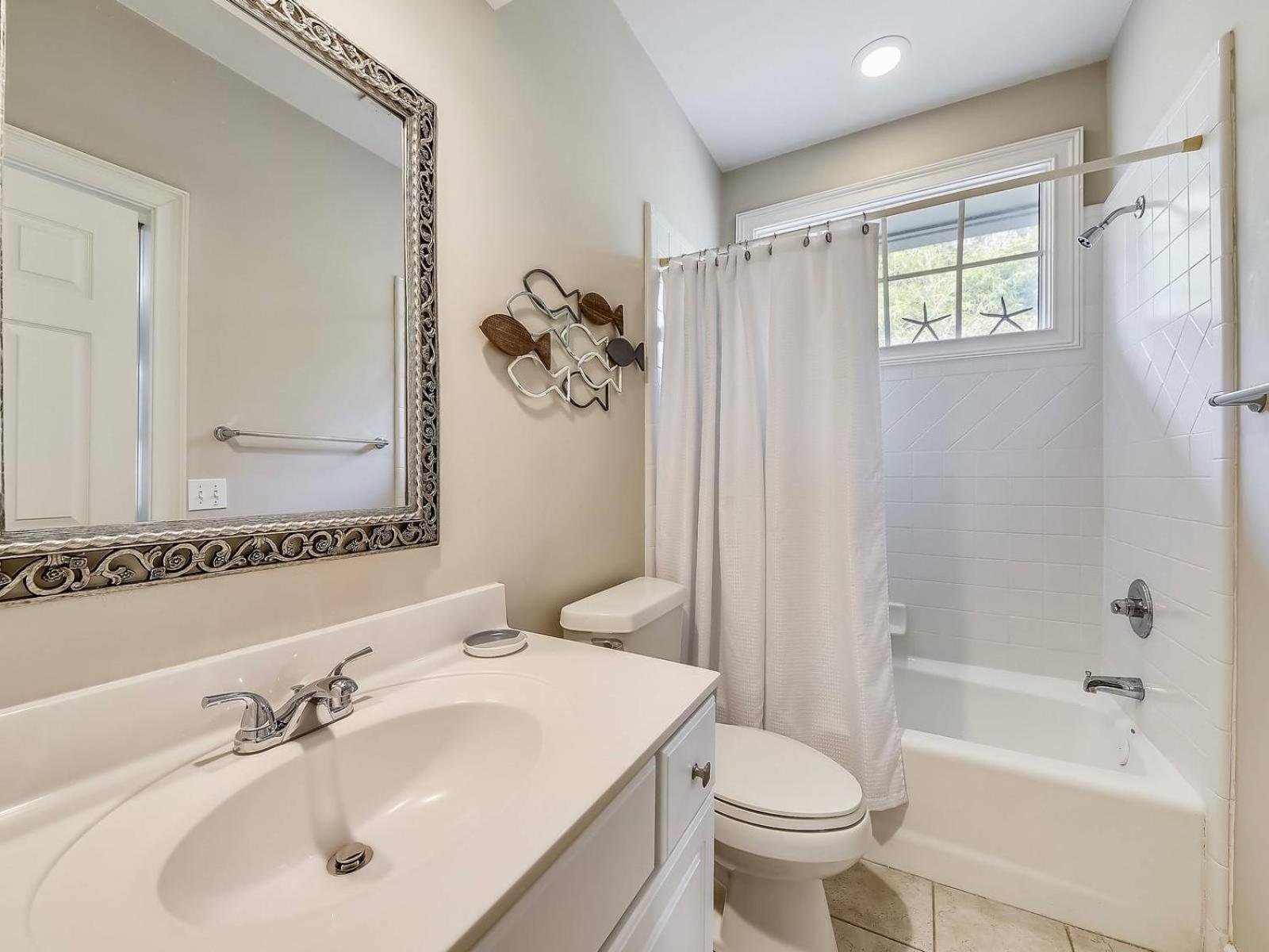 6 Wood Ibis - Host2coast Hilton Head Island