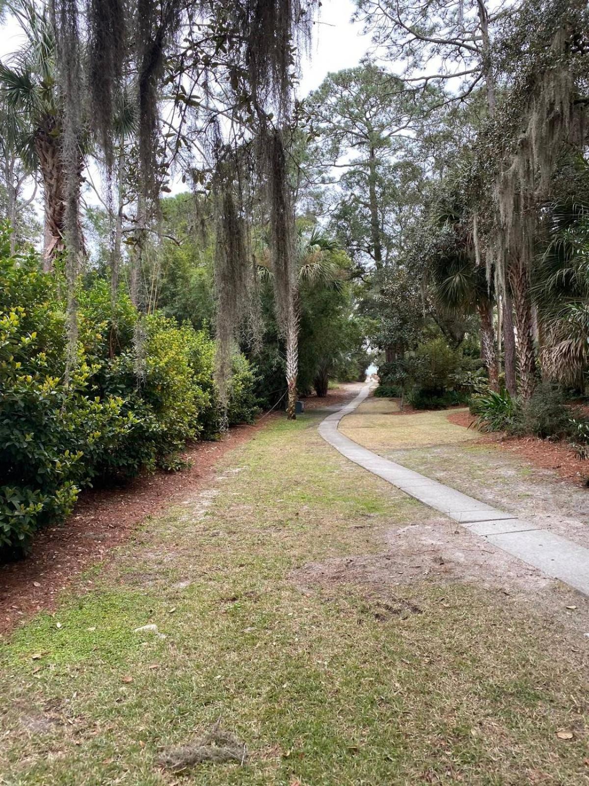 6 Wood Ibis - Host2coast *