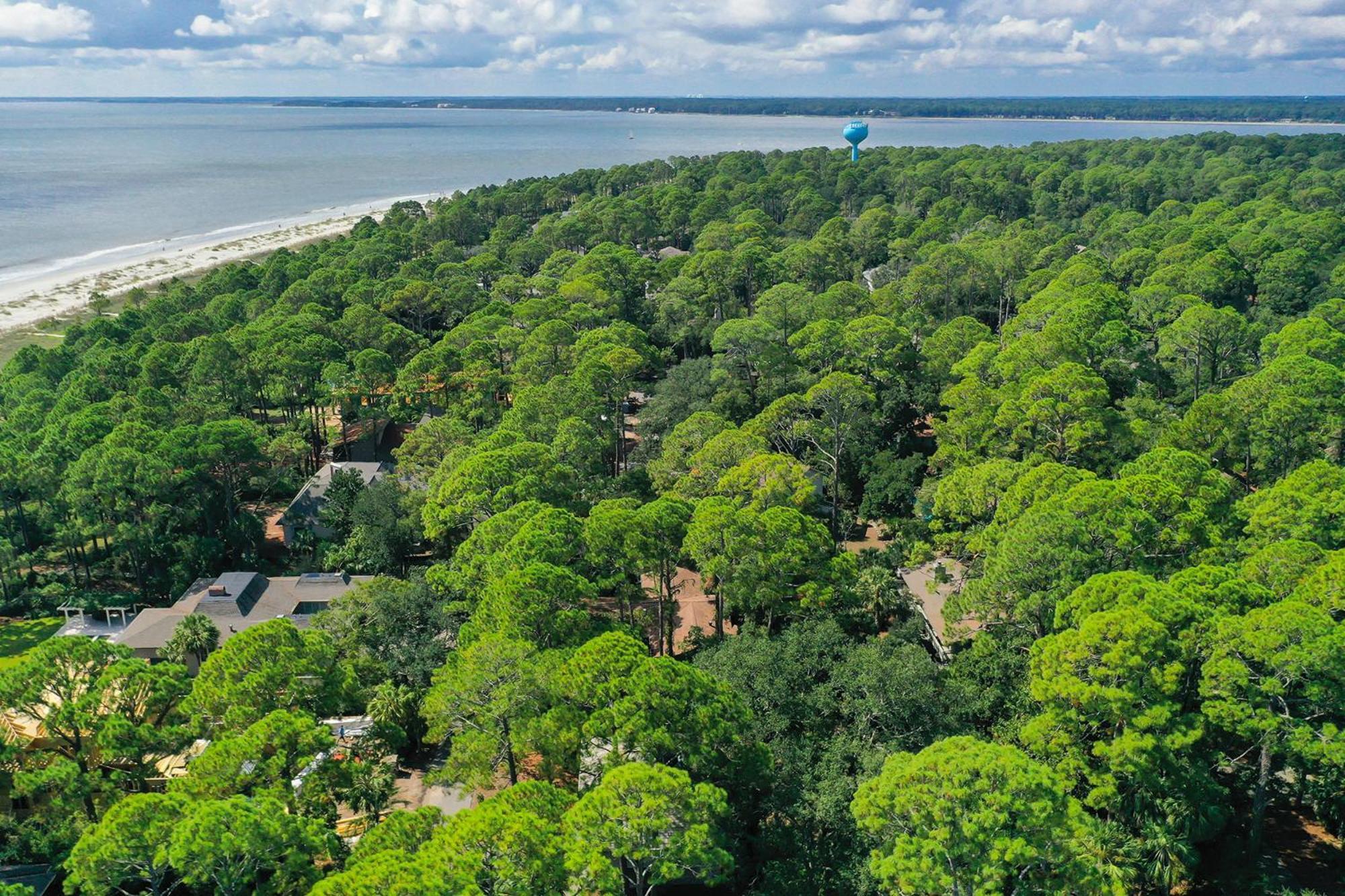 14 Cedar Waxwing - Host2coast Holiday home