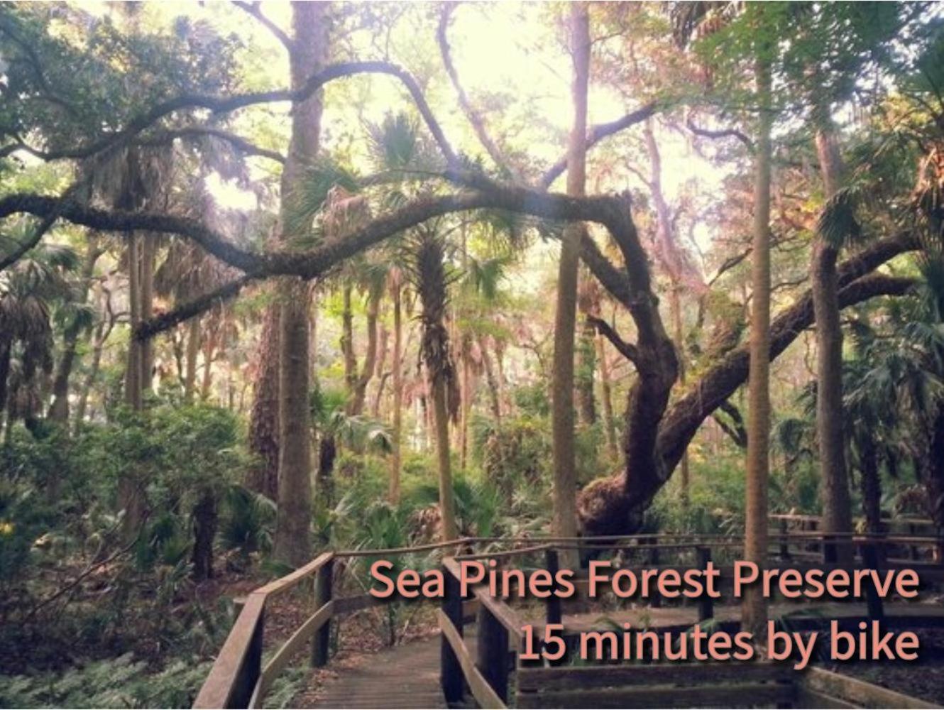 7206 Treetops Villa Hilton Head Island