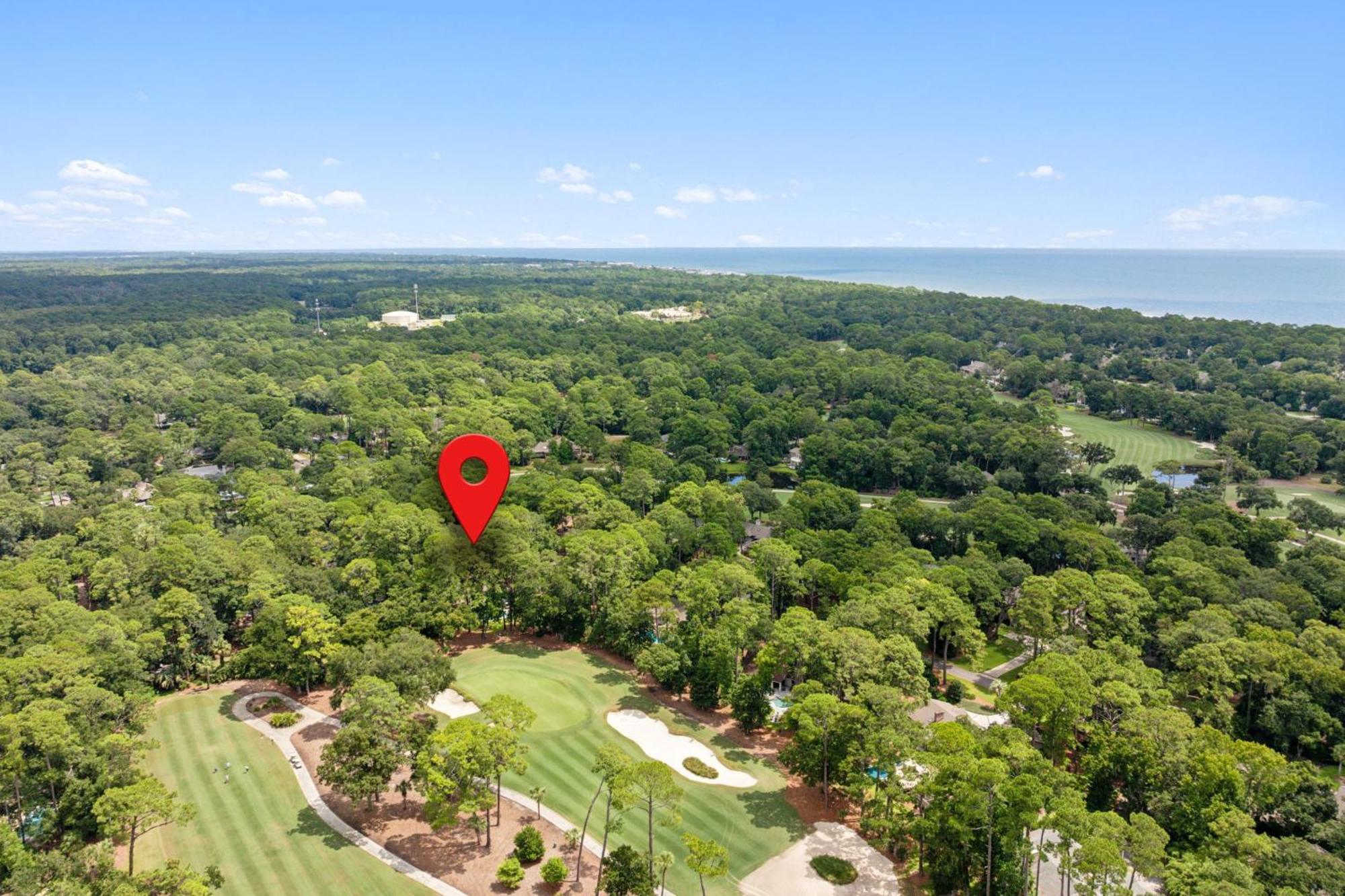 10 Willow Oak *