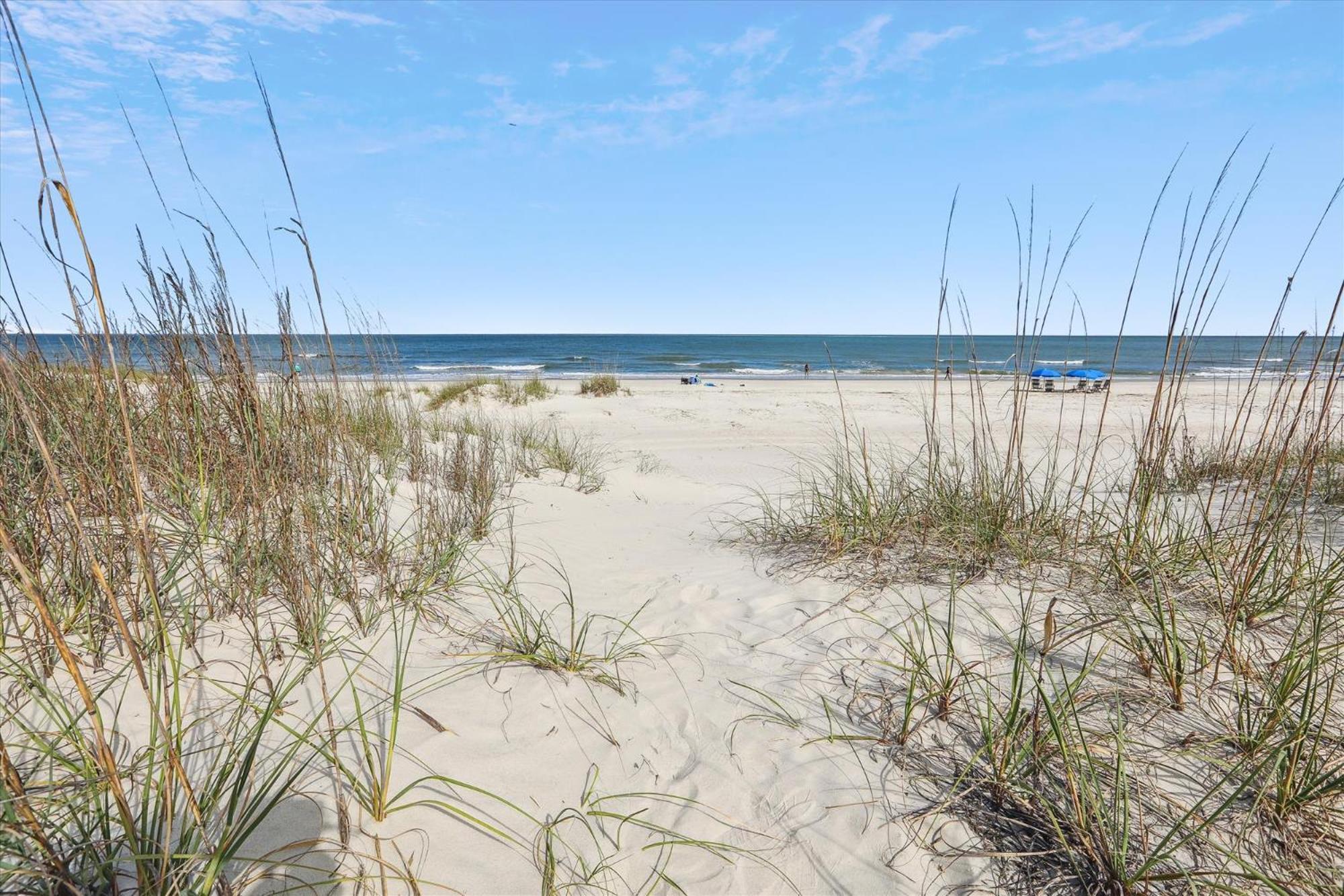 21 Singleton Beach- Oceanfront, Pool, Private Access! Free Activities Included