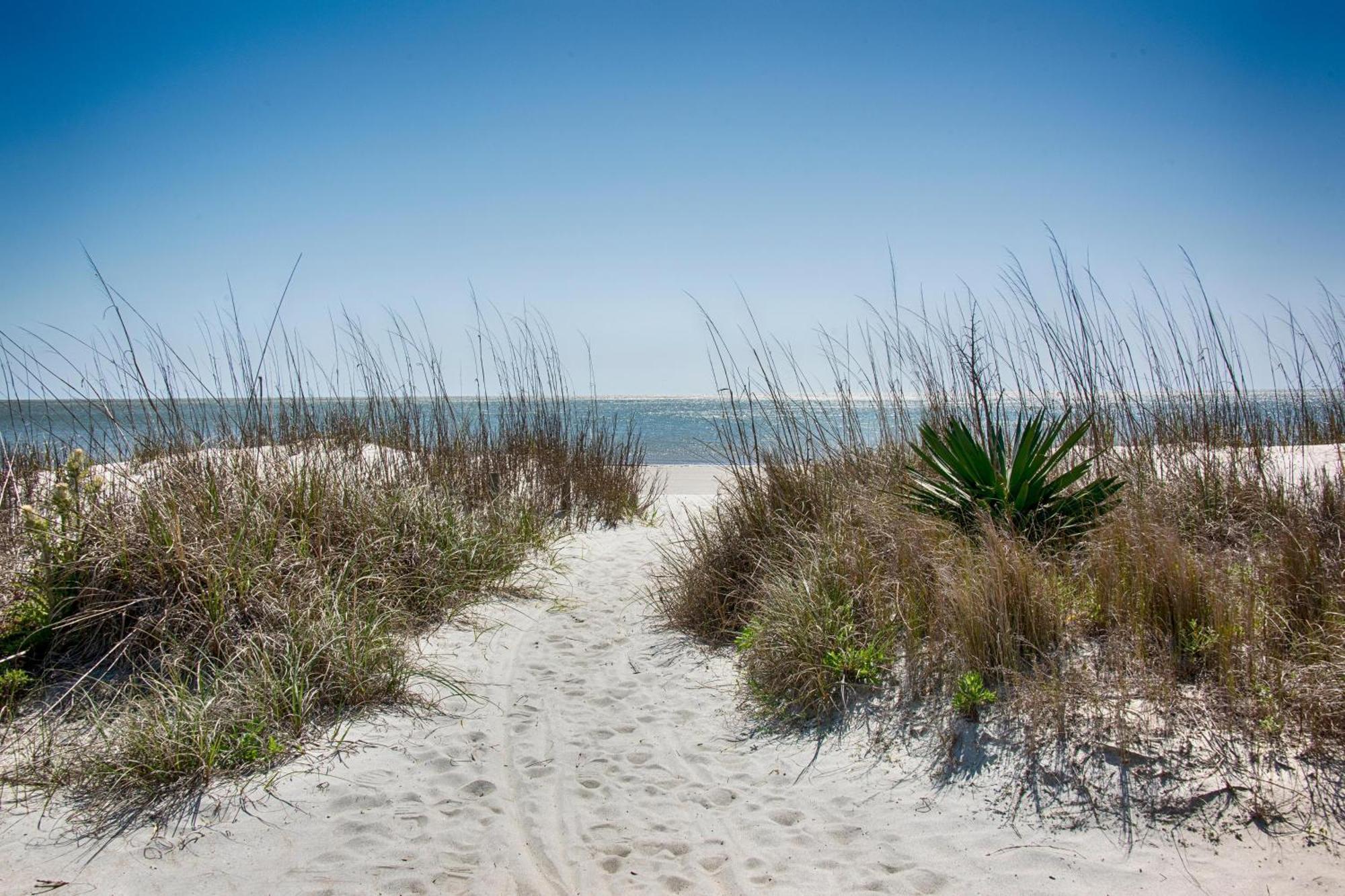 22 Dollar Road | Koi * Hilton Head Island