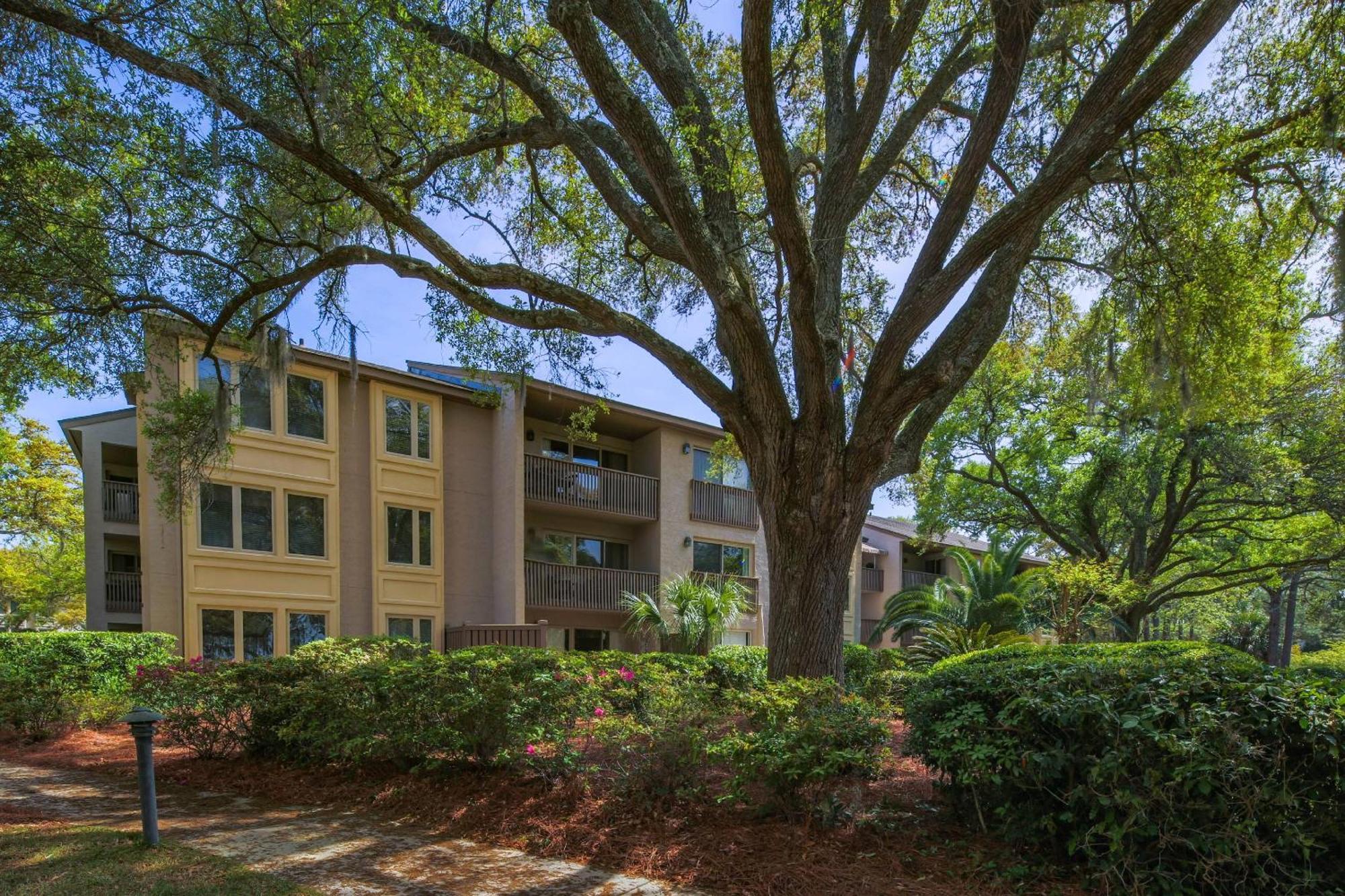 It's A Bluff Life * Hilton Head Island