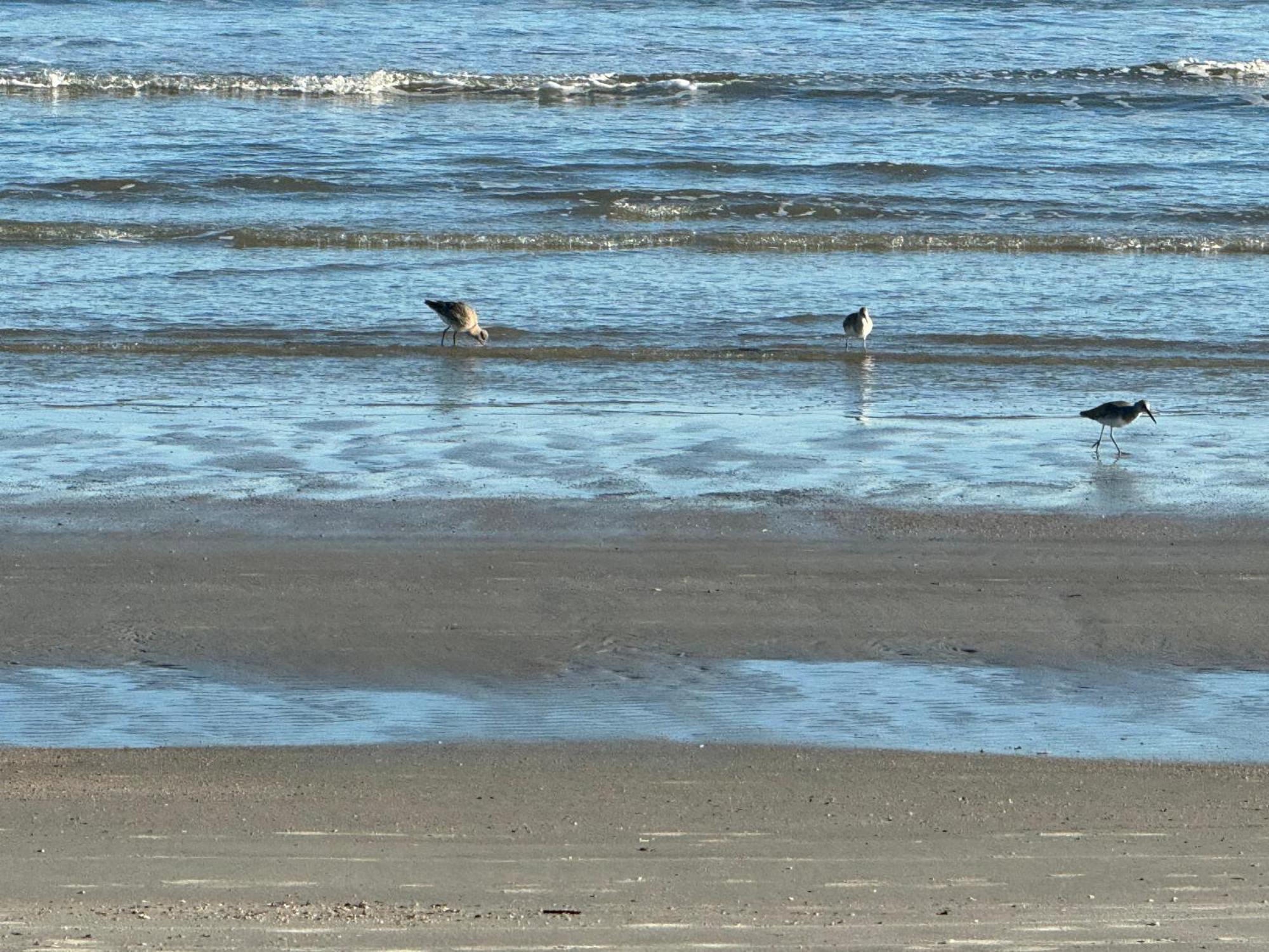 Beautiful Ocean Front Hilton Head Island