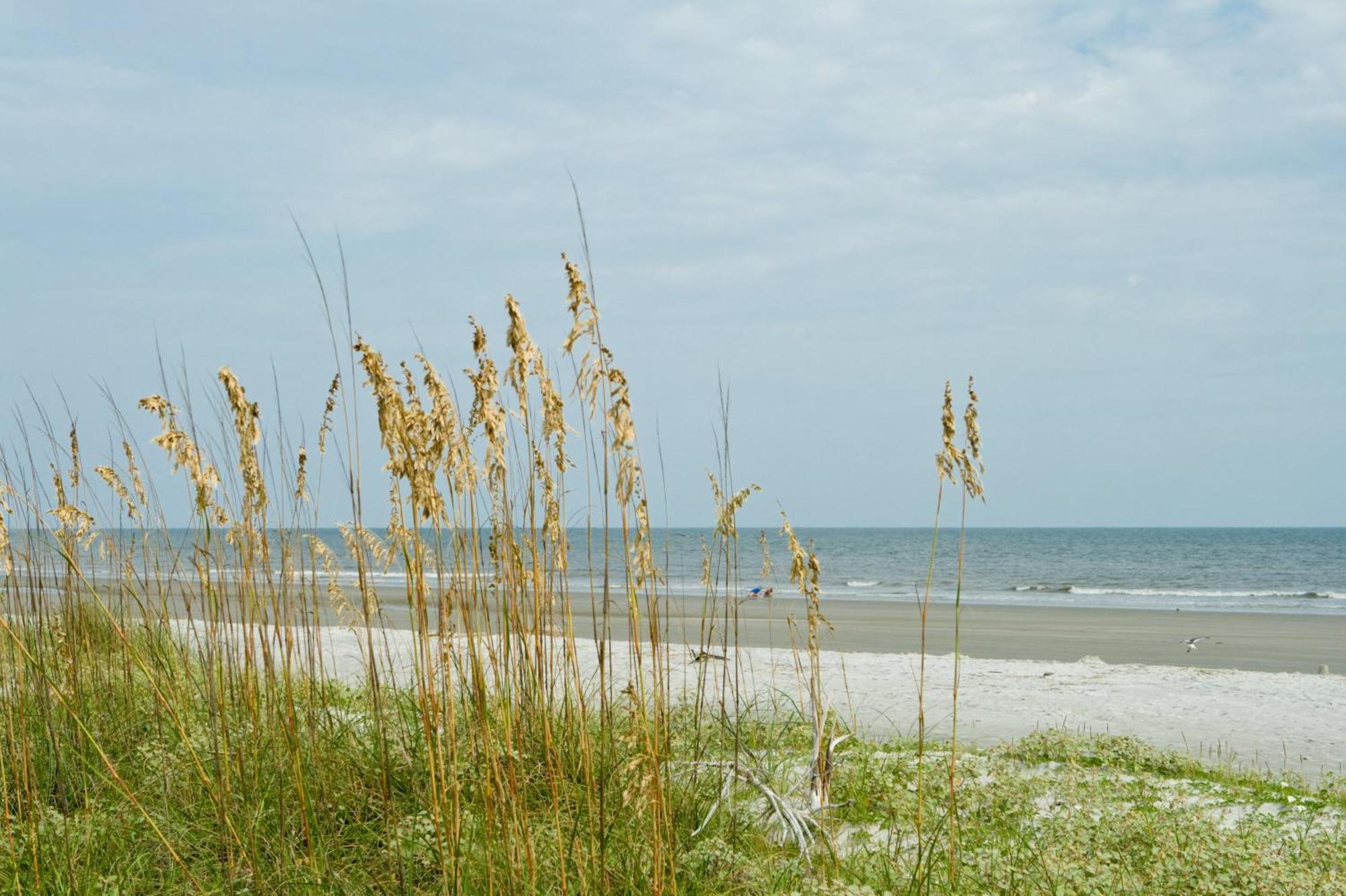 Pet Friendly - Marsh Views - Private Pool With Free Pool Heat - 25 Stoney Creek Rd Holiday home