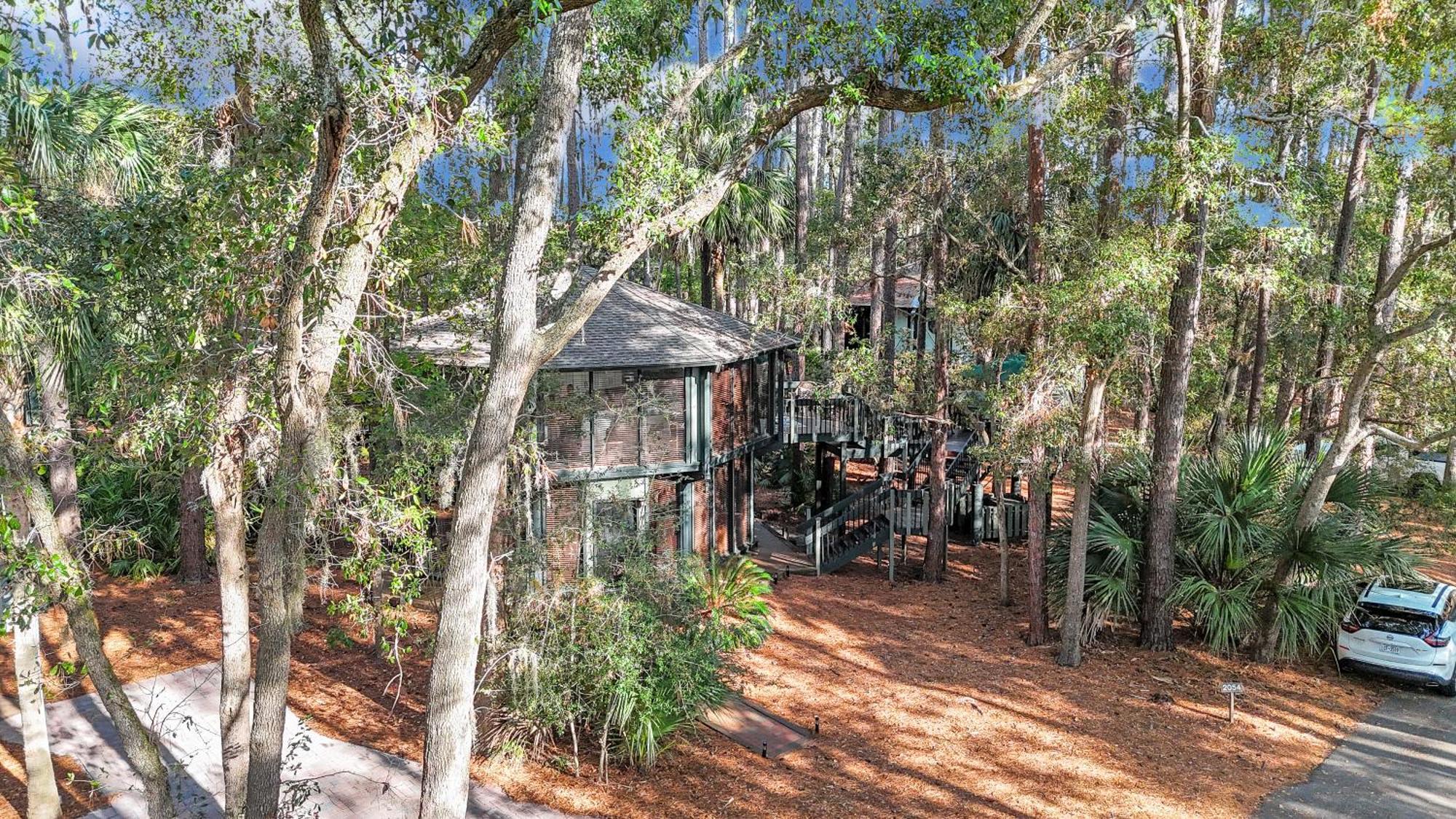A Magical Treehouse By The Sea! Hilton Head Island