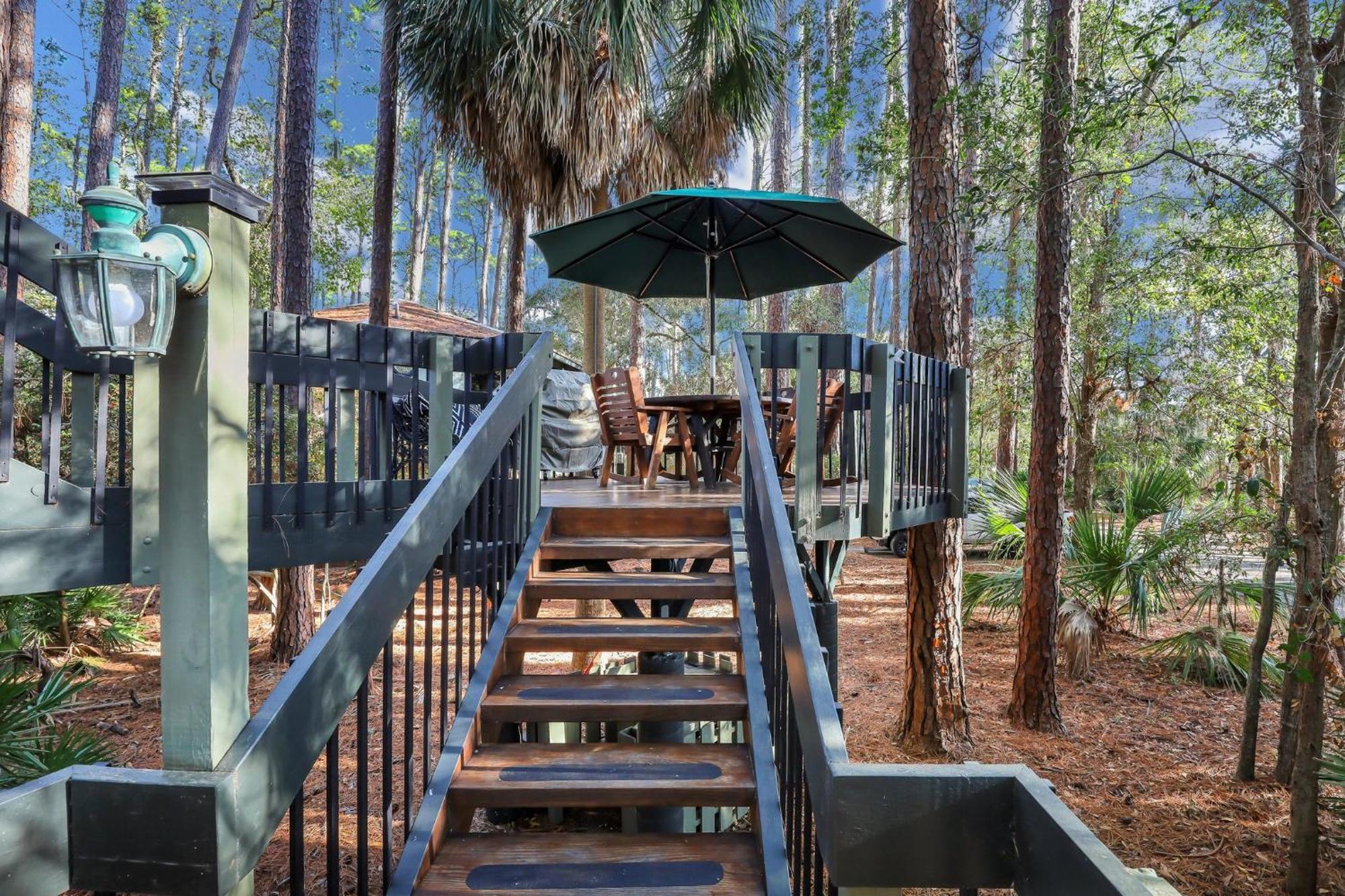 A Magical Treehouse By The Sea! Hilton Head Island