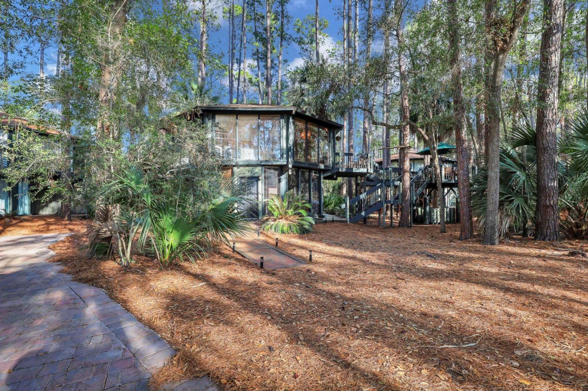 A Magical Treehouse By The Sea! Villa *