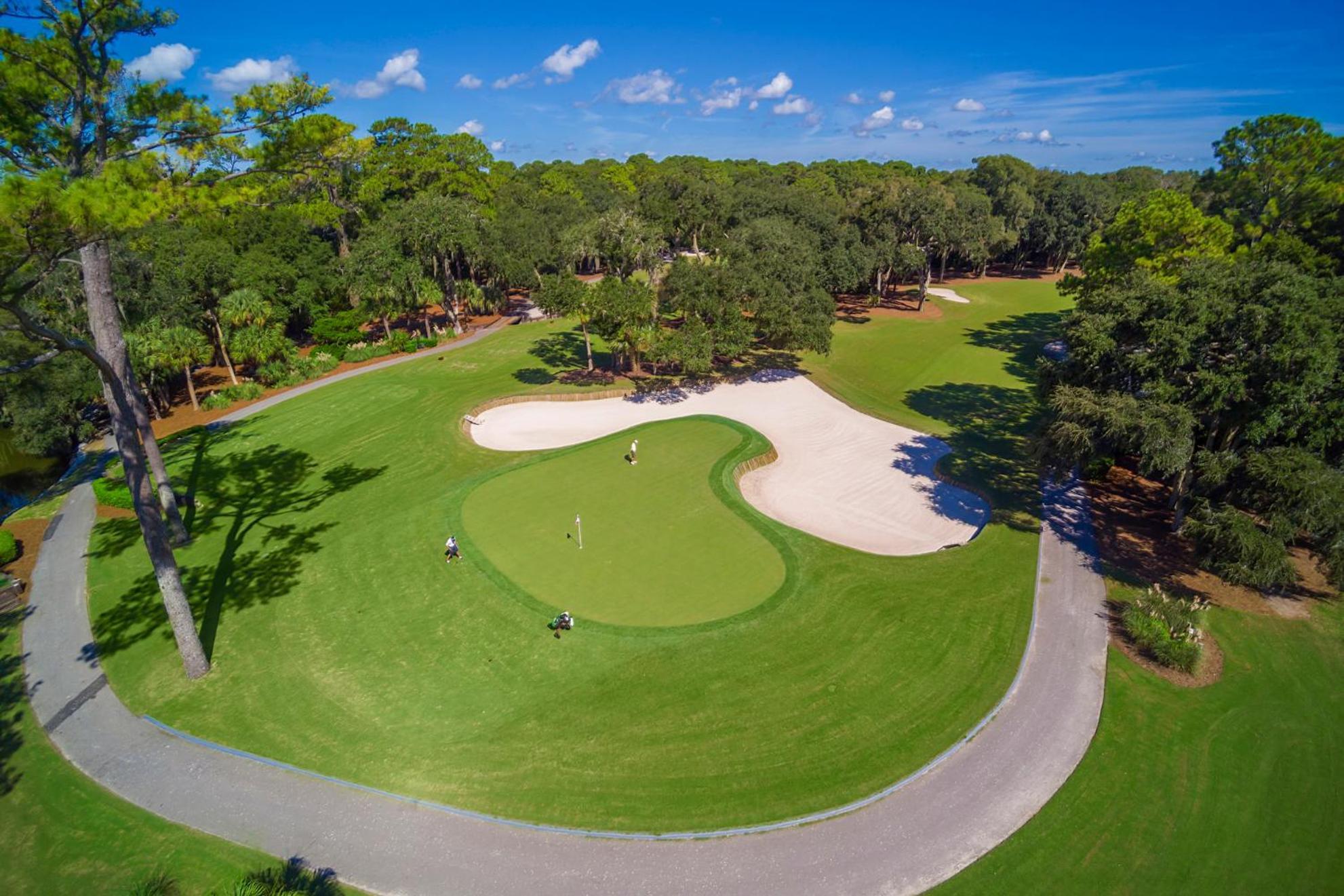 6 Wood Ibis - Host2coast * Hilton Head Island