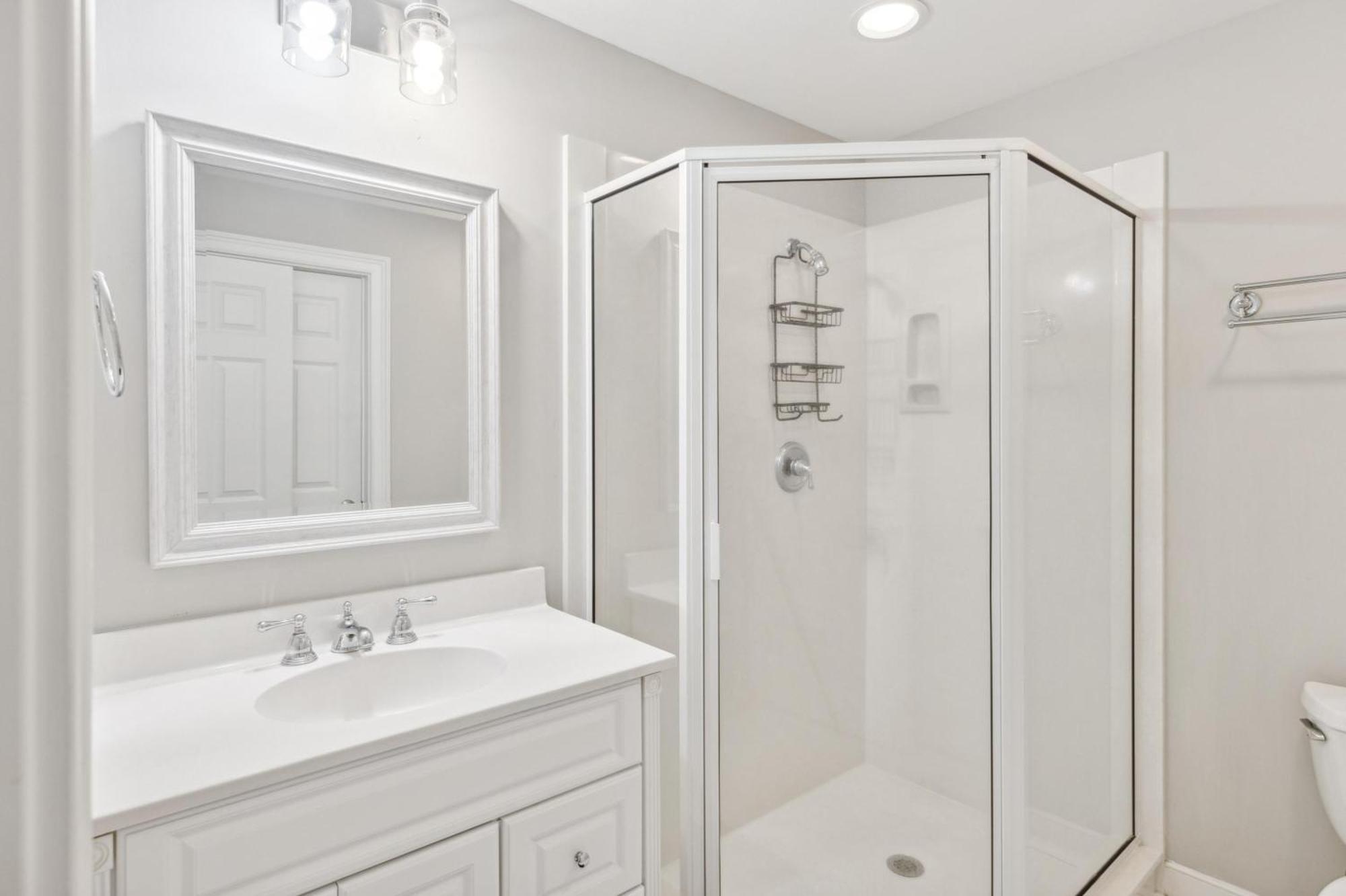 10 Willow Oak *