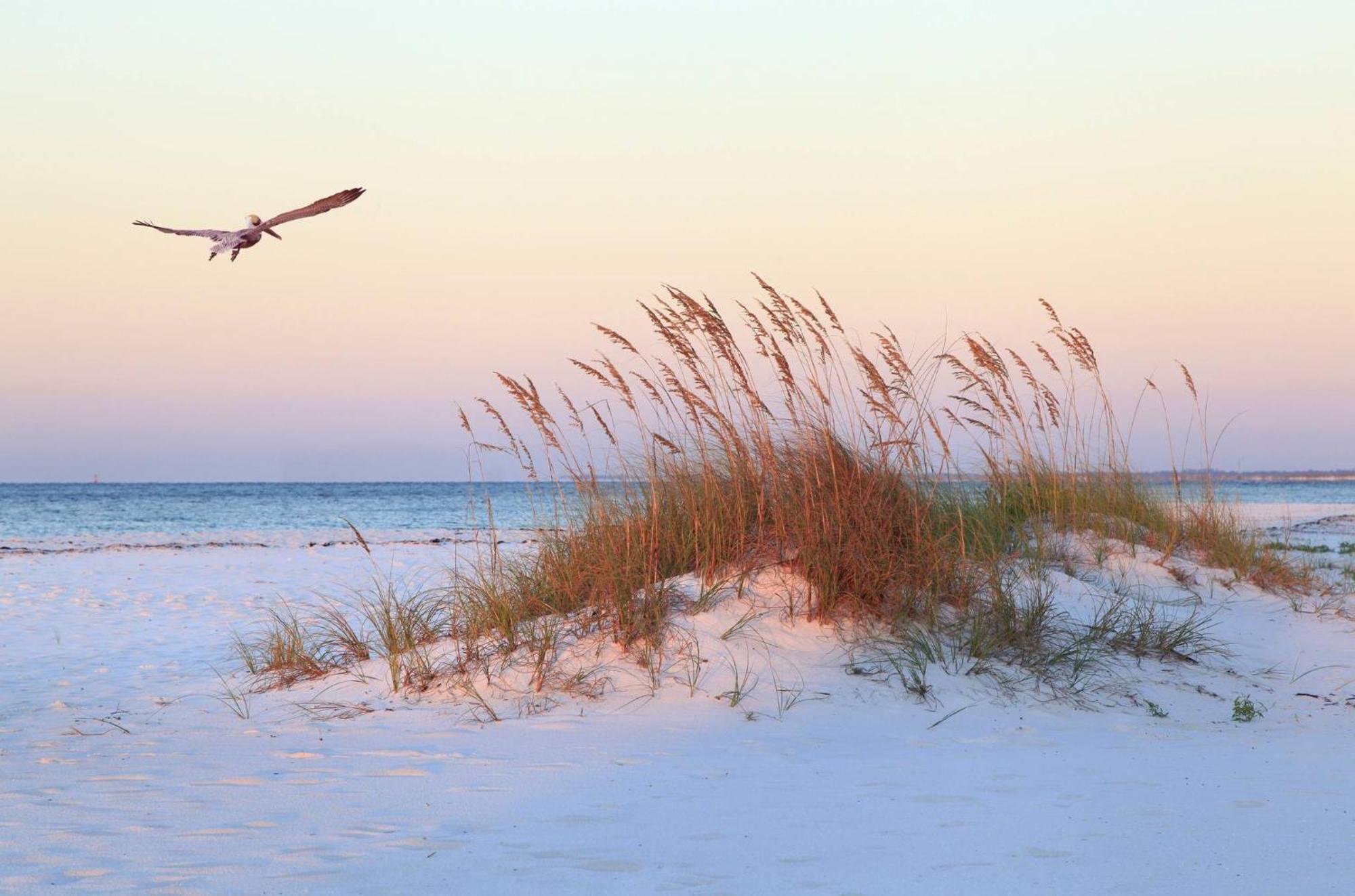 Villa Oceanfront, Bikes, Getaway, Wp2415 Hilton Head Island