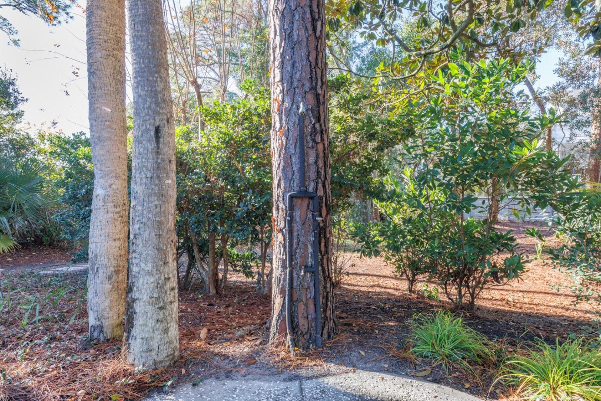8 Juniper * Hilton Head Island