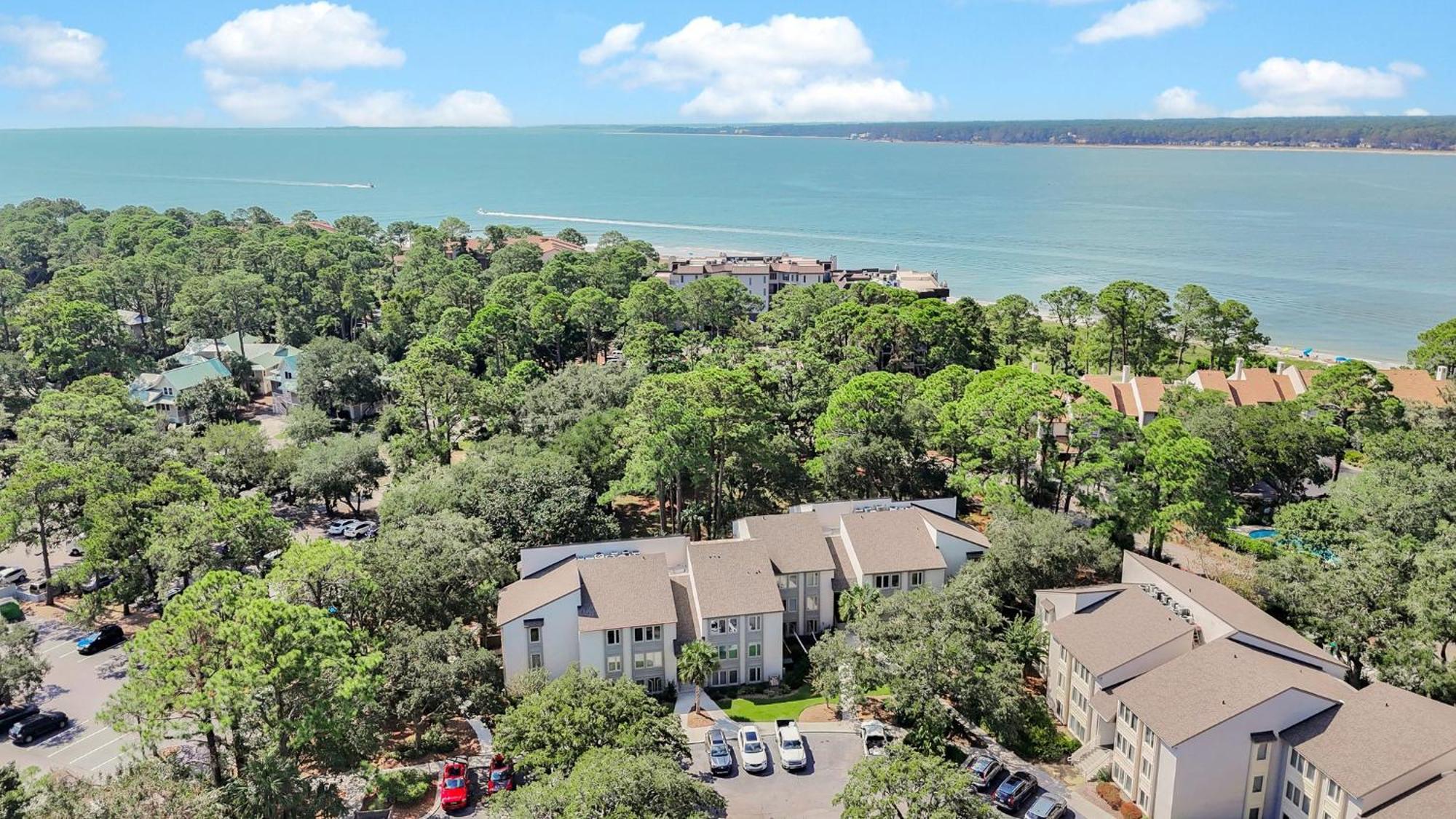 1662 Bluff