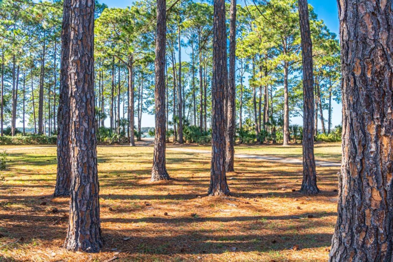 253 Greenwood New Renovations Private Pool Golf Views Sleeps 10 Sea Pines Holiday home *