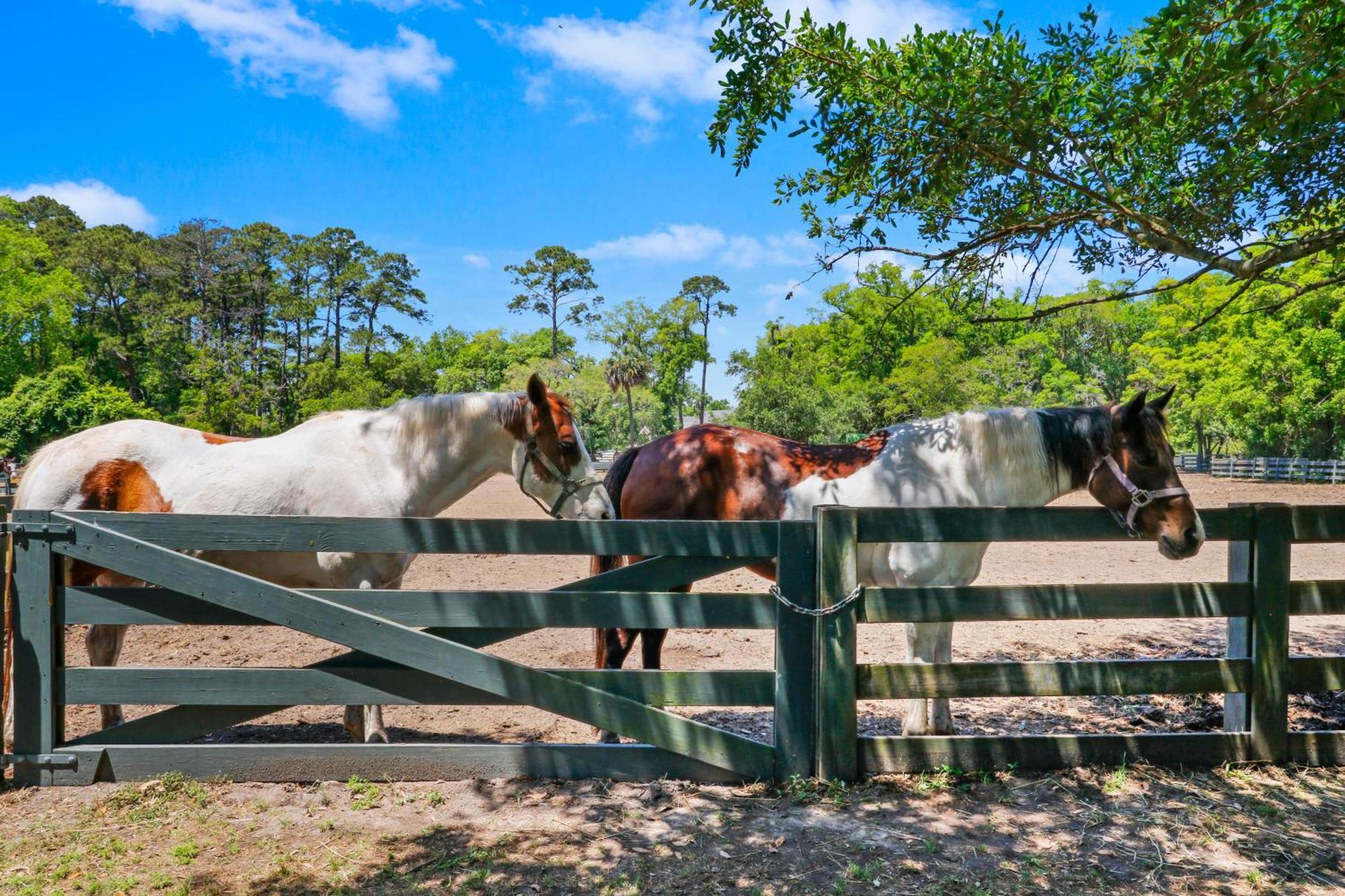 18 Willow Oak * Hilton Head Island
